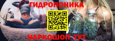 крисы Бугуруслан